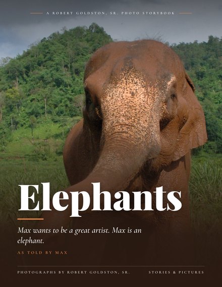 Elephants photo book cover