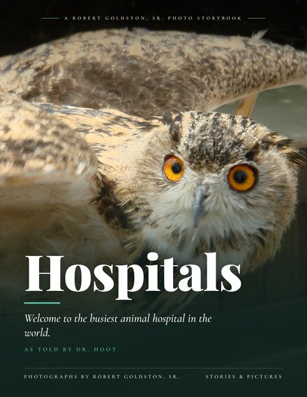 Hospitals photo book cover