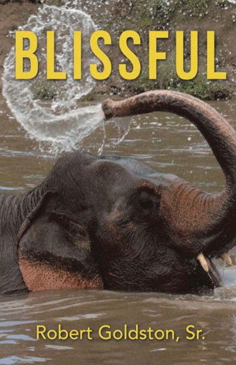 Blissful by Robert Goldston, Sr. (book cover)