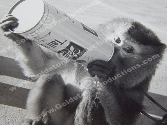 Photograph by Robert Goldston, Sr.